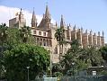 Palma 16